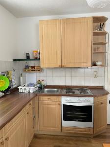 uma cozinha com armários de madeira e um forno com placa de fogão em Natur pur im Erzgebirge em Breitenbrunn