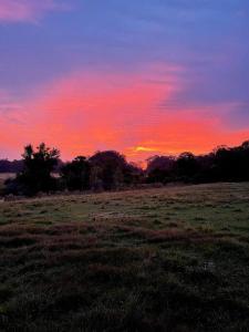 una puesta de sol en un campo con árboles en 63 Acre Farmstay - A luxury farm experience en San Mateo