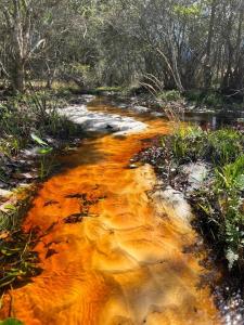 an image of a creek with orange paint on it at 63 Acre Farmstay - A luxury farm experience in San Mateo