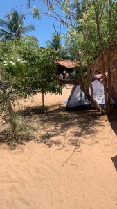 Afbeelding uit fotogalerij van Hostel Flor da Vida in Canoa Quebrada