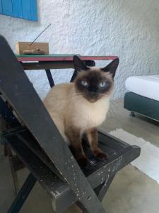 Afbeelding uit fotogalerij van Hostel Flor da Vida in Canoa Quebrada