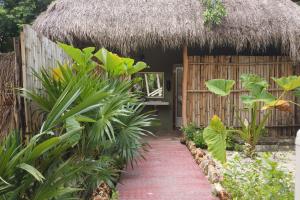 a pathway leading to a thatch hut with a thatch roof at Glamping Asana Bacalar in Bacalar