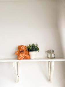 a teddy bear sitting on a shelf with a plant at Contemporary Comfort Sleek Studio Casa De Parco in Samporo