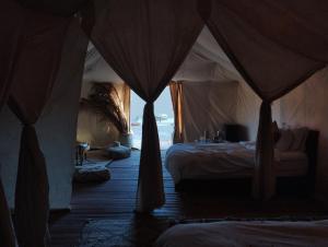 ein Schlafzimmer mit einem Bett und einem Zelt in der Unterkunft Saba Berber Travel in Mhamid