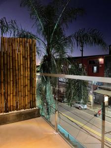uma cerca com uma palmeira em frente a uma rua em Hotel Yatay em Puerto Iguazú