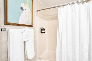 ein Bad mit einer Dusche mit einem weißen Duschvorhang in der Unterkunft Sweet Tea Cottage-Cullman in Hanceville + 50 Fotos