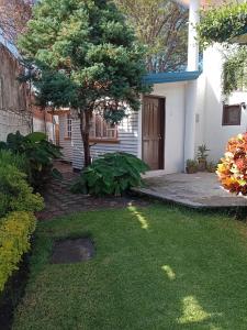 阿特利斯科的住宿－Casa Atlixco de las Flores，房子前面有树的院子