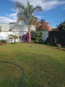 a garden with a green hose in a yard at Casa Atlixco de las Flores in Atlixco