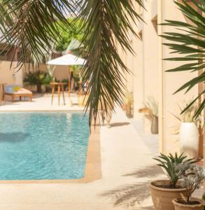 Der Swimmingpool an oder in der Nähe von Casa Solana