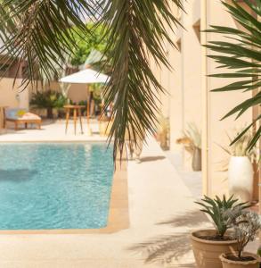 a swimming pool with palm trees next to a building at Rustic and Blue Getaway in Patong Beach