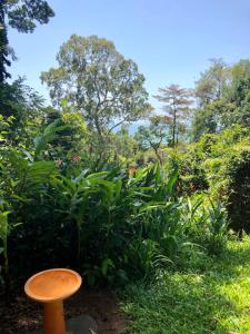Сад в Sky: rainforest and ocean views with jacuzzi