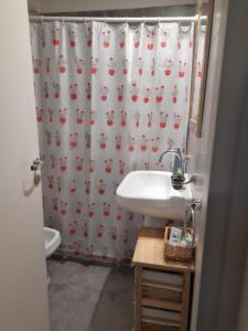 baño con lavabo y cortina de ducha en Excelente departamento en lujan de cuyo en Ciudad Lujan de Cuyo