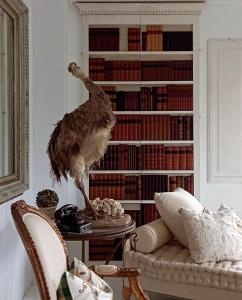 a bird standing on a table in a living room at The White House Homestay in Pantai Cenang