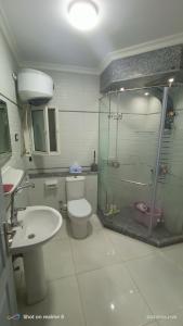 a bathroom with a shower and a toilet and a sink at Gleem Luxury Condo Direct Sea view G18 in Alexandria