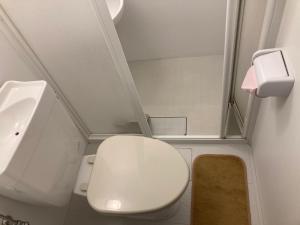 a small bathroom with a toilet and a sink at Midori Guesthouse&Hostel in Tsushima +29 photos
