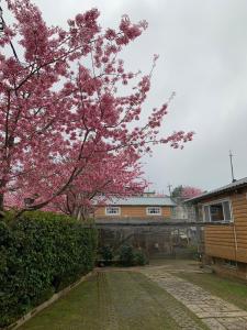 民宿所在大楼
