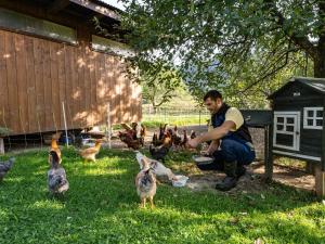 Zvieratá na farme alebo blízkom okolí