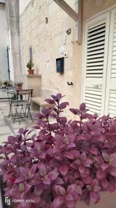 烏賈諾拉基耶薩的住宿－Casa Corte della libertà，一座建筑前的一大束紫色花