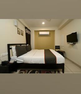 um quarto de hotel com uma cama e uma televisão em Hotel singh palace em Jaipur