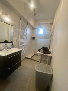 阿納姆的住宿－Appartement Arnhem，一间带水槽和镜子的浴室