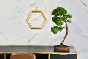a bonsai tree sitting on a table in front of a clock at THE ROOT2 HOTEL in Kyoto