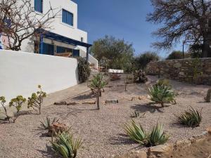 a yard with cacti in front of a house at Il Canto delle Cicale in Agia Marina