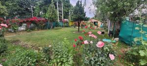 Κήπος έξω από το Lily Of The World Houseboat