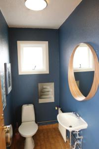 a bathroom with a sink and a toilet and a mirror at Framtid Hostel in Djúpivogur