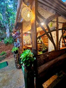 una casa con plantas y una lámpara de araña en Haven chalet en Nuwara Eliya