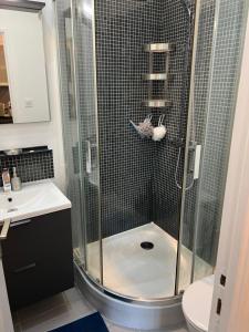 a shower with a glass door in a bathroom at Grand T2 climatisé a 5 min de la gare st-charles - vieux port in Marseille