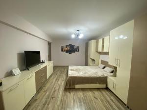 a bedroom with a bed and a flat screen tv at Apartament A&A Hațeg in Haţeg