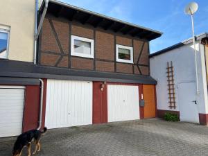 un chien debout devant un bâtiment avec deux portes de garage dans l'établissement Gemütliches Ferienapartement, à Cassel