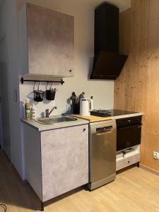 uma cozinha com um lavatório e um fogão em Mazurska Stodoła Na Półwyspie Pilchowskim em Pilchy