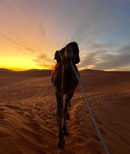 una persona montando un camello en el desierto en Kanz Erremal, en Merzouga