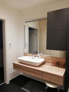 ein Badezimmer mit einem Waschbecken und einem großen Spiegel in der Unterkunft Ferienhaus Johanna in Spitz