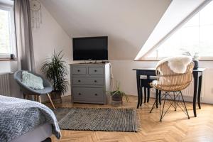 Televízia a/alebo spoločenská miestnosť v ubytovaní Apartmány u Petry