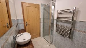 łazienka z toaletą, prysznicem i umywalką w obiekcie Alex w mieście Campitello di Fassa