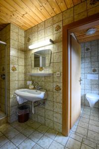 a bathroom with a sink and a mirror at Zillertalerhof in Ried im Zillertal