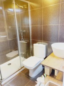 a bathroom with a toilet and a shower and a sink at Un hogar en el centro - La Casa de Ion Parking gratuito in Zaragoza