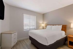 Postel nebo postele na pokoji v ubytování SureStay Plus Hotel by Best Western Tempe University