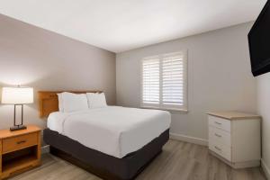 Postel nebo postele na pokoji v ubytování SureStay Plus Hotel by Best Western Tempe University
