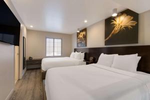 Postel nebo postele na pokoji v ubytování SureStay Plus Hotel by Best Western Tempe University