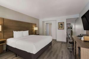 Postel nebo postele na pokoji v ubytování SureStay Plus Hotel by Best Western Tempe University