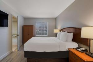 Postel nebo postele na pokoji v ubytování SureStay Plus Hotel by Best Western Tempe University
