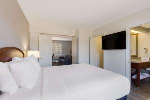 TV a/nebo společenská místnost v ubytování SureStay Plus Hotel by Best Western Tempe University