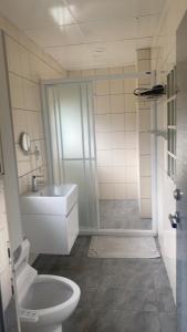 a bathroom with a shower and a toilet and a sink at 史塔克的家民宿（Stark's House B&B） in Huan-shan