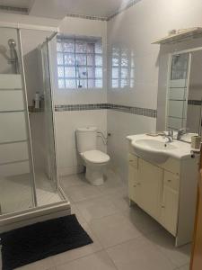 ein Bad mit einem WC, einer Dusche und einem Waschbecken in der Unterkunft L5/villiers-le-bel proche Roissy in Villiers-le-Bel