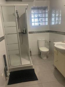 ein Bad mit einer Dusche, einem WC und einem Waschbecken in der Unterkunft L5/villiers-le-bel proche Roissy in Villiers-le-Bel