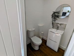 a bathroom with a toilet and a sink and a mirror at The Snug at Cefn Tilla Court in Usk