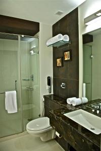 ein Bad mit einem Waschbecken, einem WC und einer Dusche in der Unterkunft The Central Park in Rourkela